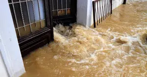 Minimise the risk of flooding