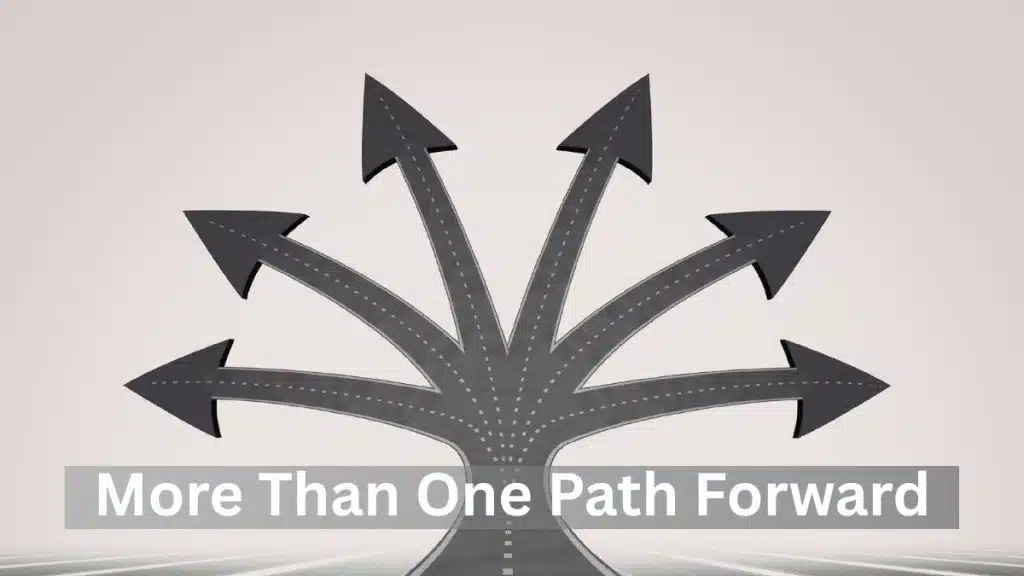 Alternative paths